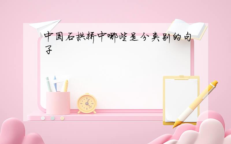 中国石拱桥中哪些是分类别的句子