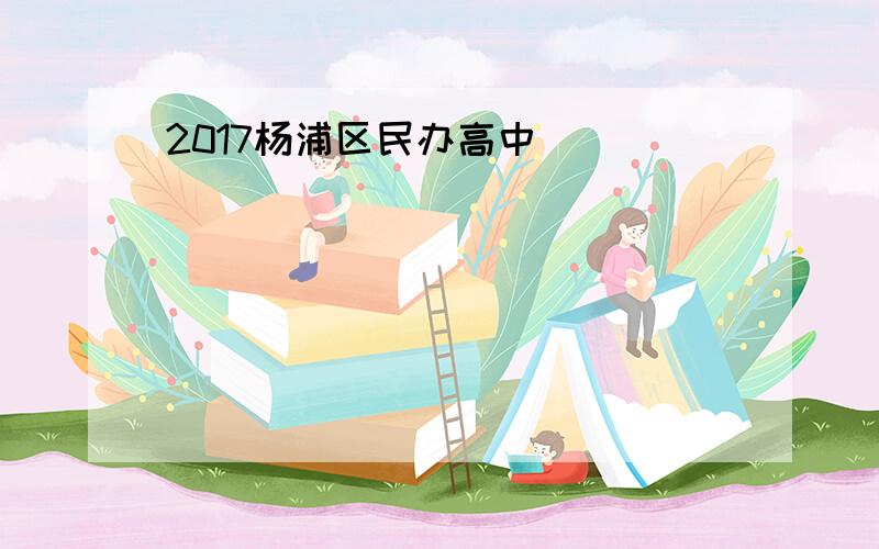 2017杨浦区民办高中