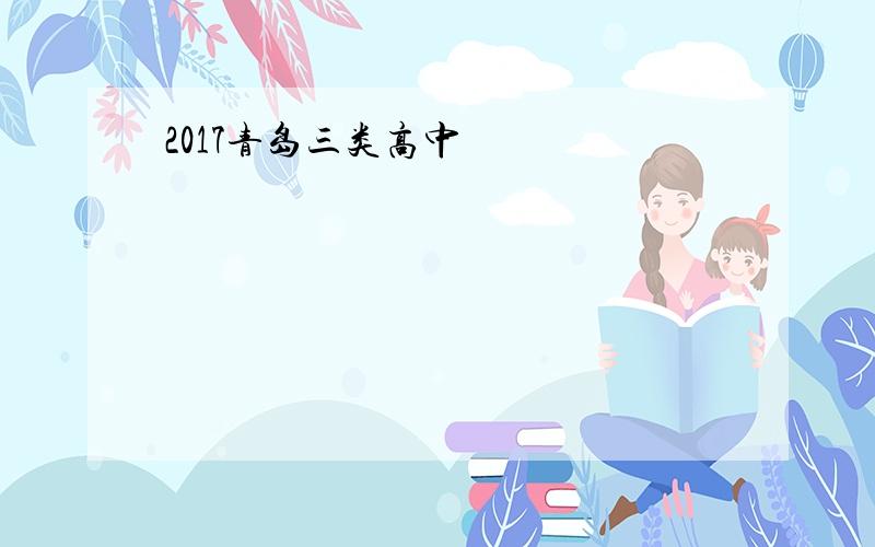 2017青岛三类高中
