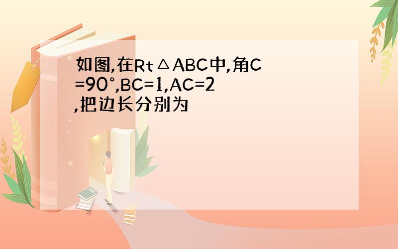 如图,在Rt△ABC中,角C=90°,BC=1,AC=2,把边长分别为