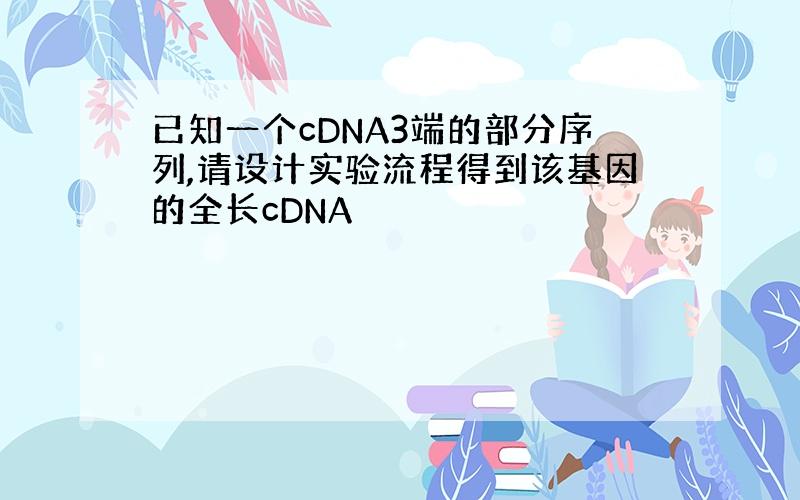 已知一个cDNA3端的部分序列,请设计实验流程得到该基因的全长cDNA
