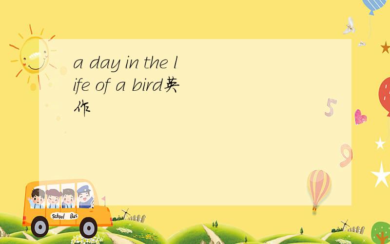 a day in the life of a bird英作
