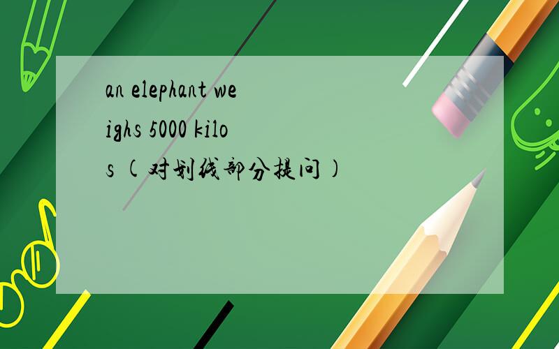 an elephant weighs 5000 kilos (对划线部分提问)