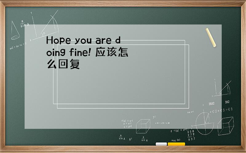Hope you are doing fine! 应该怎么回复