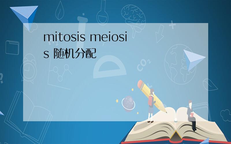mitosis meiosis 随机分配