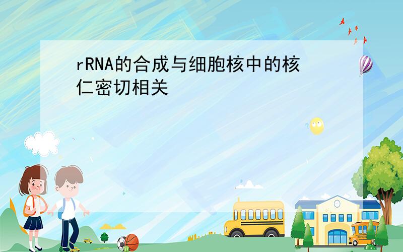 rRNA的合成与细胞核中的核仁密切相关