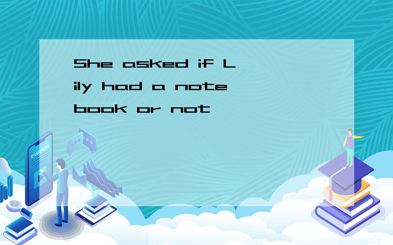 She asked if Lily had a notebook or not
