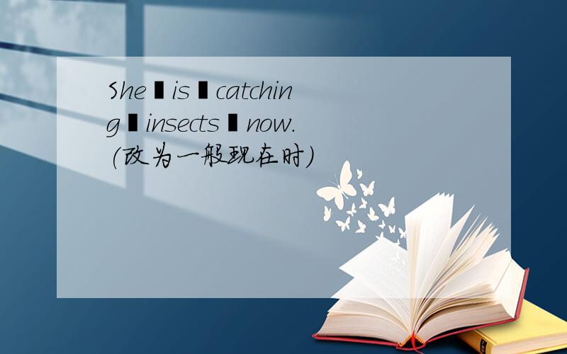 She is catching insects now.(改为一般现在时)
