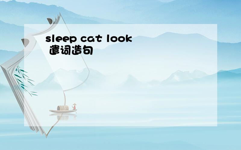 sleep cat look 遣词造句