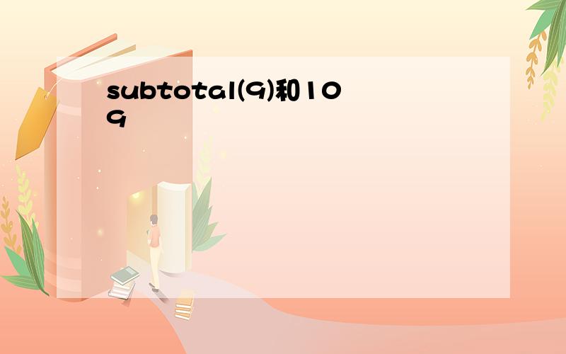 subtotal(9)和109