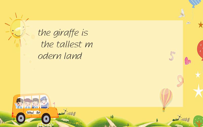 the giraffe is the tallest modern land