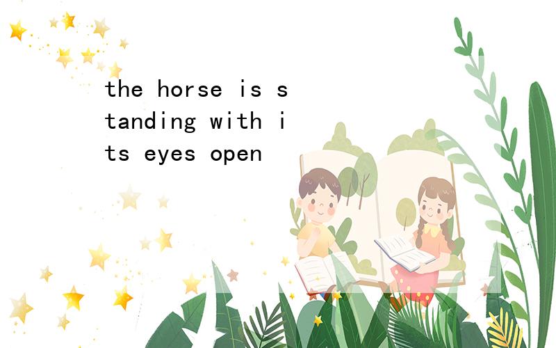 the horse is standing with its eyes open