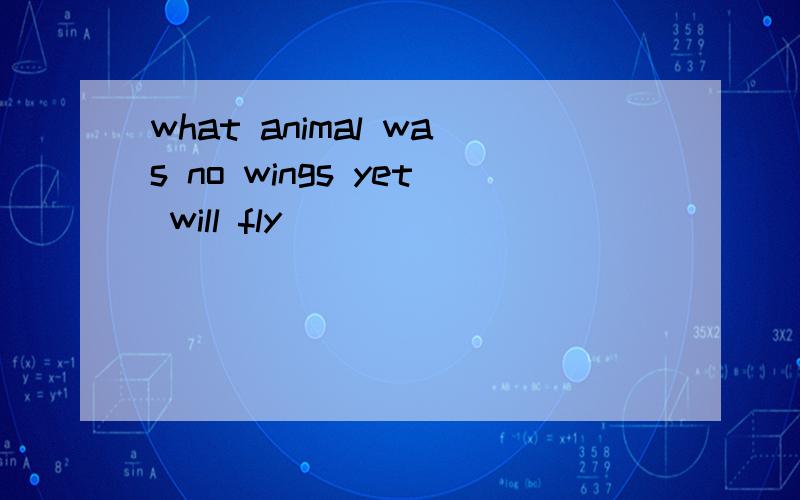 what animal was no wings yet will fly