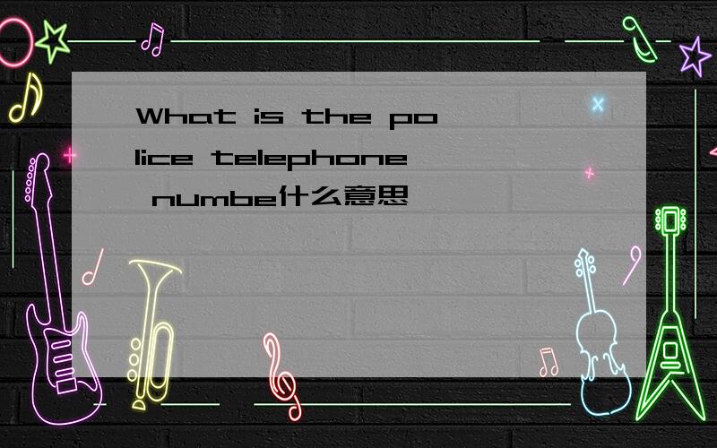 What is the police telephone numbe什么意思