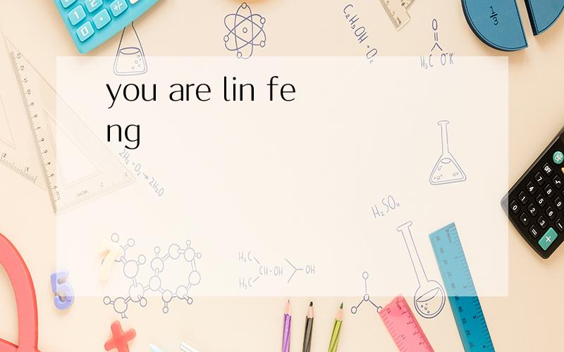 you are lin feng