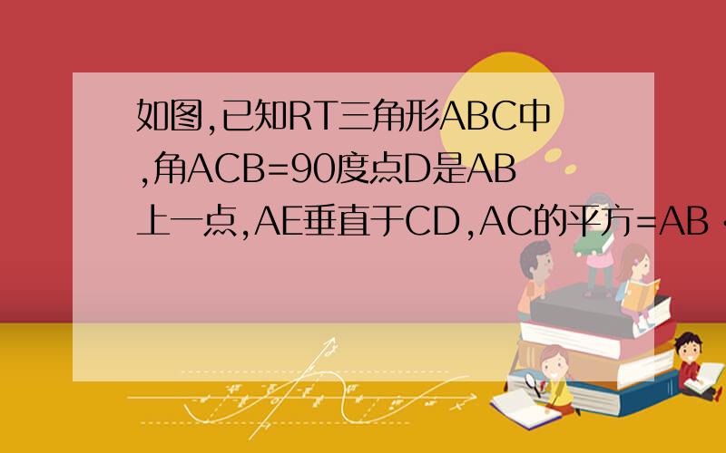 如图,已知RT三角形ABC中,角ACB=90度点D是AB上一点,AE垂直于CD,AC的平方=AB•