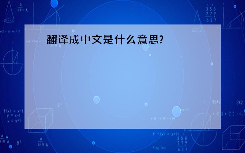 翻译成中文是什么意思?