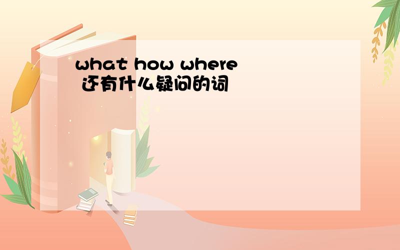 what how where 还有什么疑问的词