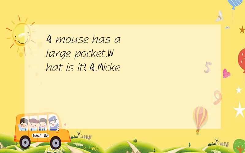 A mouse has a large pocket.What is it?A.Micke