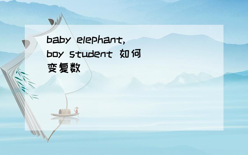 baby elephant,boy student 如何变复数