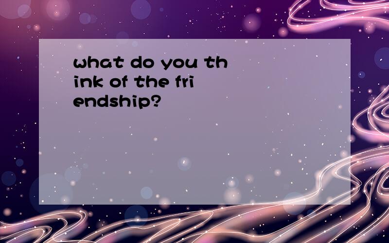 what do you think of the friendship?