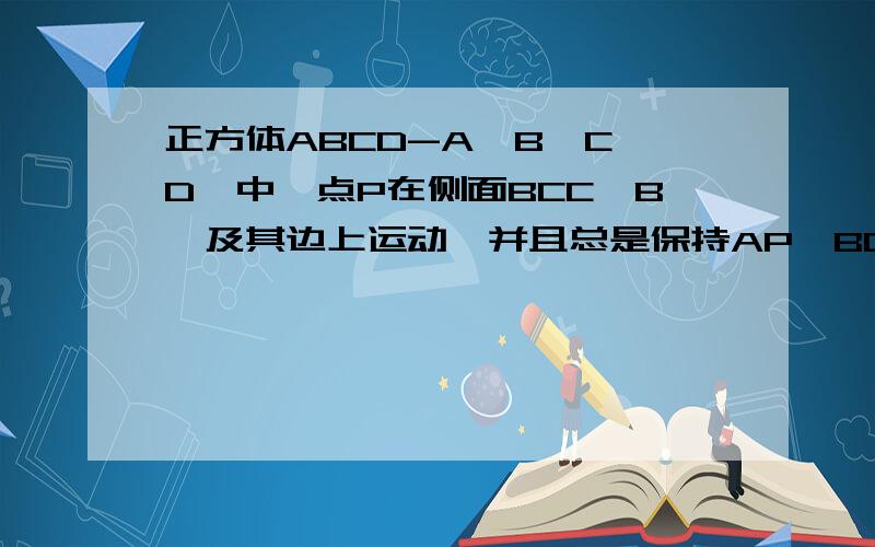 正方体ABCD-A'B'C'D'中,点P在侧面BCC'B'及其边上运动,并且总是保持AP⊥BD',则动点P的轨迹是