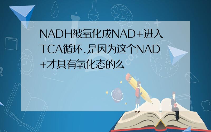 NADH被氧化成NAD+进入TCA循环.是因为这个NAD+才具有氧化态的么