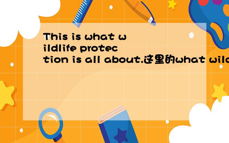 This is what wildlife protection is all about.这里的what wildli