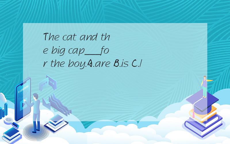 The cat and the big cap___for the boy.A.are B.is C./
