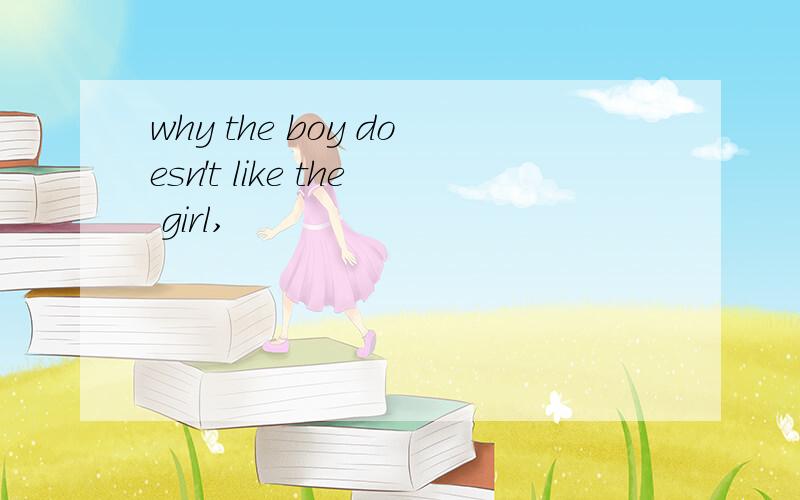 why the boy doesn't like the girl,