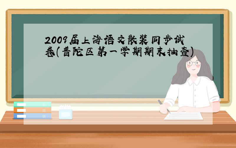 2009届上海语文散装同步试卷(普陀区第一学期期末抽查)