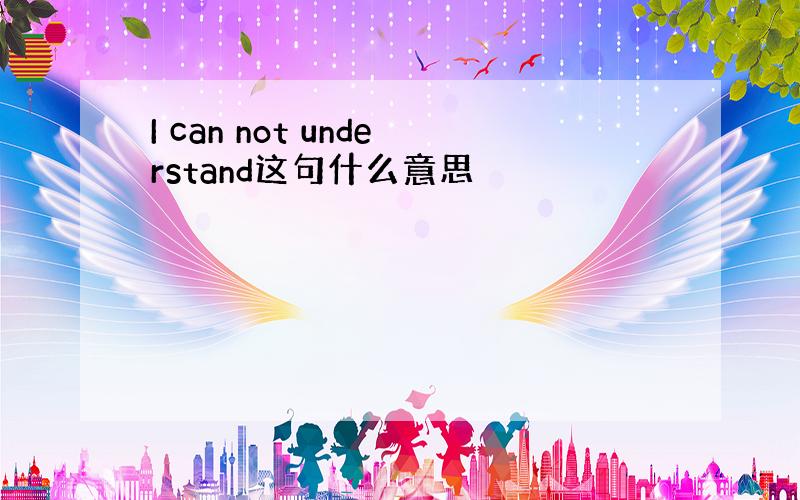 I can not understand这句什么意思