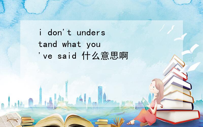 i don't understand what you 've said 什么意思啊