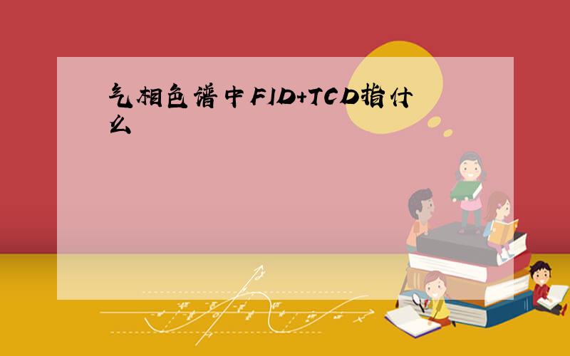 气相色谱中FID+TCD指什么