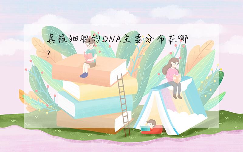 真核细胞的DNA主要分布在哪?