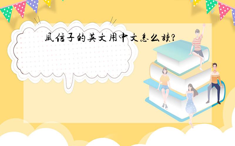 风信子的英文用中文怎么读?