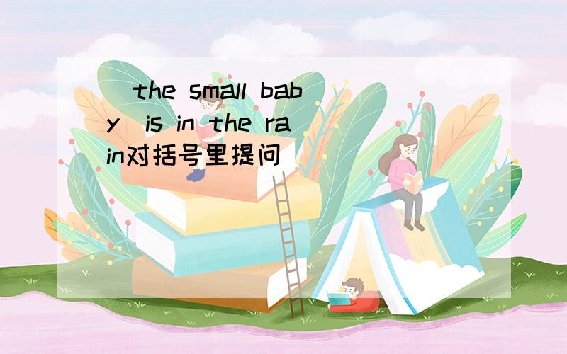 (the small baby)is in the rain对括号里提问