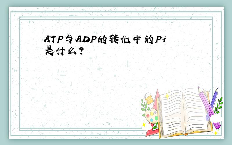 ATP与ADP的转化中的Pi是什么?