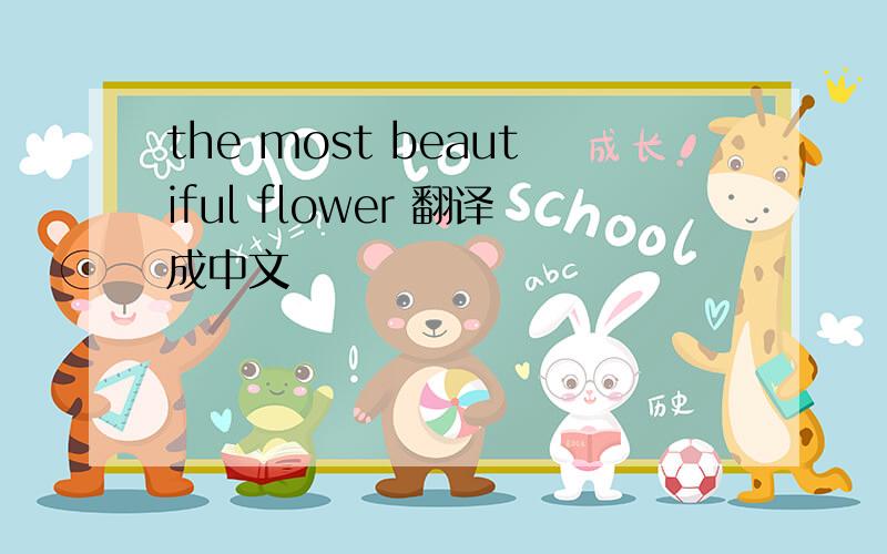 the most beautiful flower 翻译成中文