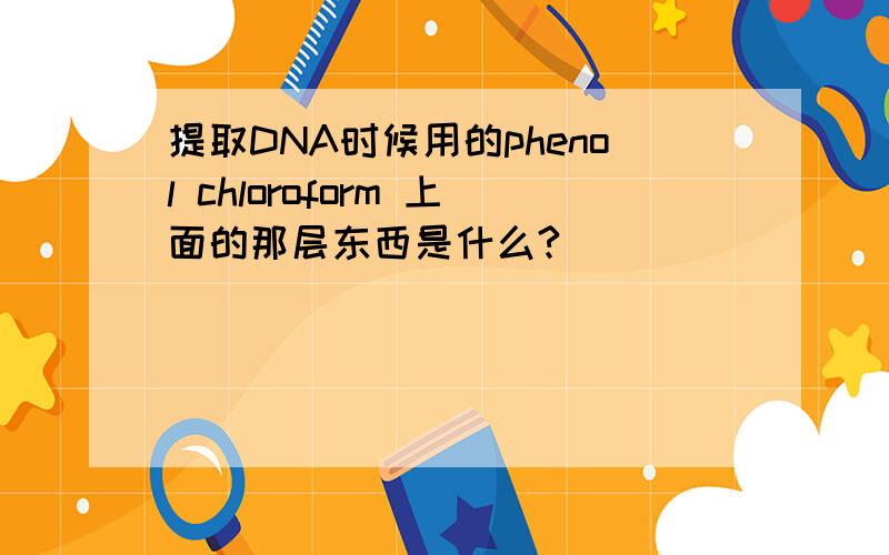 提取DNA时候用的phenol chloroform 上面的那层东西是什么?