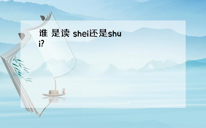 谁 是读 shei还是shui?