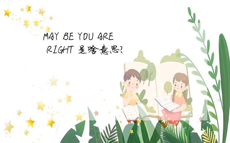 MAY BE YOU ARE RIGHT 是啥意思?