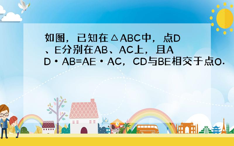 如图，已知在△ABC中，点D、E分别在AB、AC上，且AD•AB=AE•AC，CD与BE相交于点O．