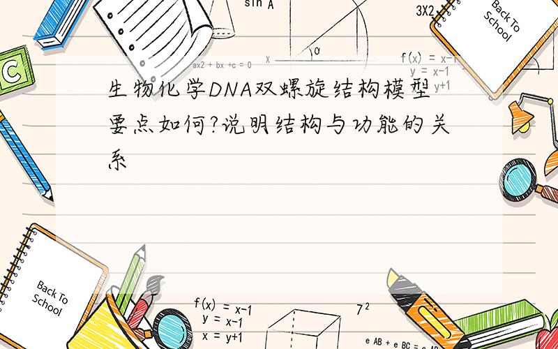 生物化学DNA双螺旋结构模型要点如何?说明结构与功能的关系