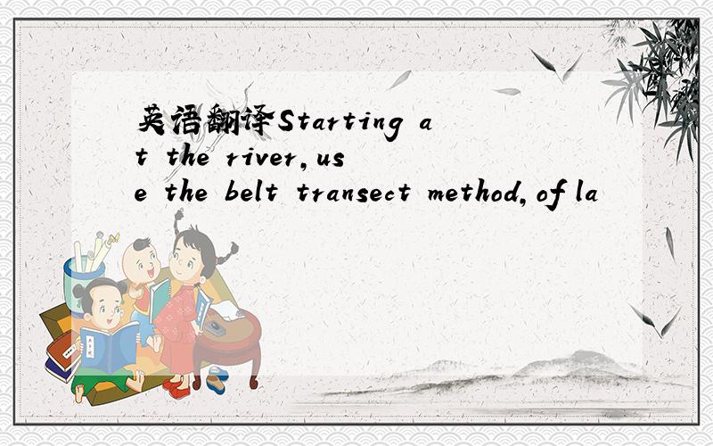 英语翻译Starting at the river,use the belt transect method,of la