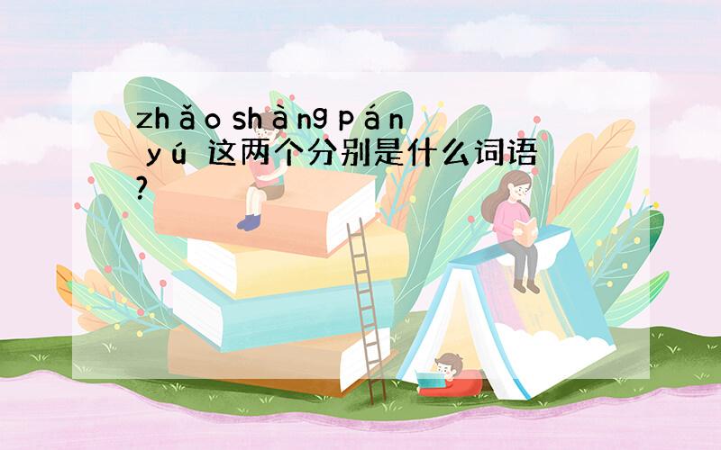zhǎo shàng pán yú 这两个分别是什么词语?