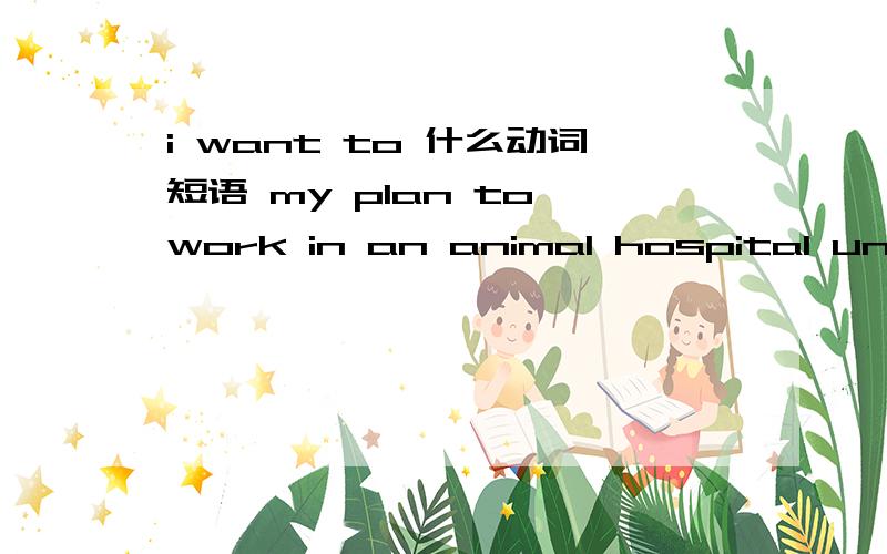 i want to 什么动词短语 my plan to work in an animal hospital until