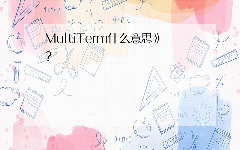 MultiTerm什么意思》?