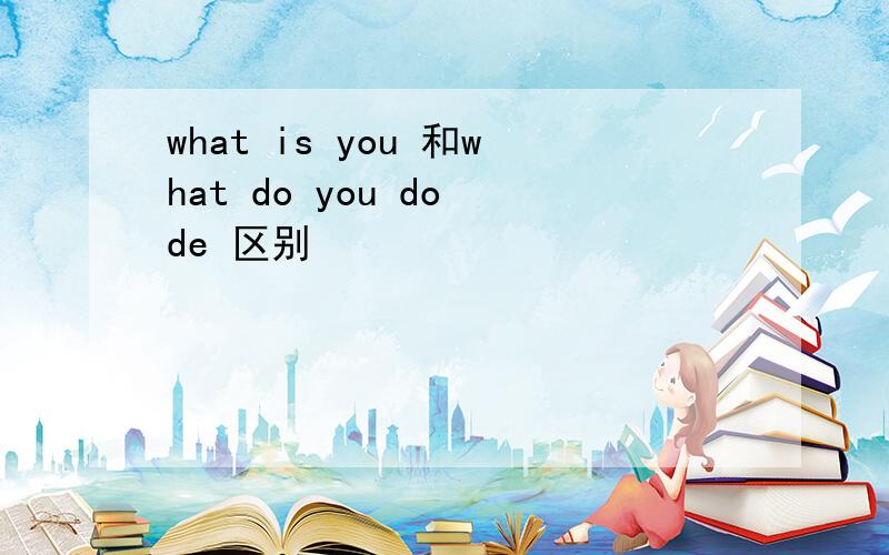 what is you 和what do you do de 区别