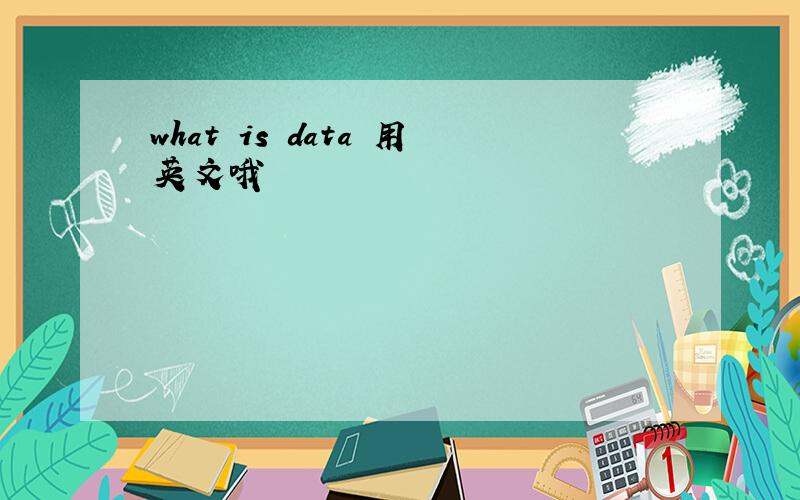 what is data 用英文哦